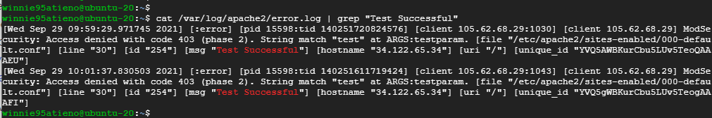 Check Apache Logs